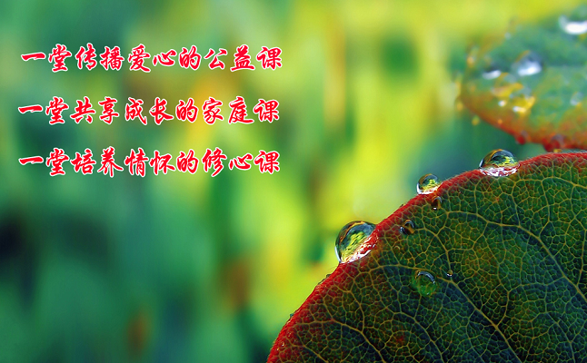 莲花心田2.png